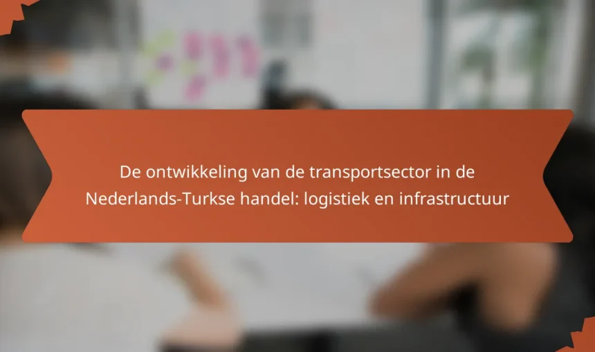 De ontwikkeling van de transportsector in de Nederlands-Turkse handel: logistiek en infrastructuur