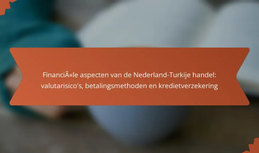 Financiële aspecten van de Nederland-Turkije handel: valutarisico’s, betalingsmethoden en kredietverzekering