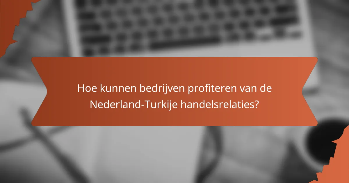 Hoe kunnen bedrijven profiteren van de Nederland-Turkije handelsrelaties?