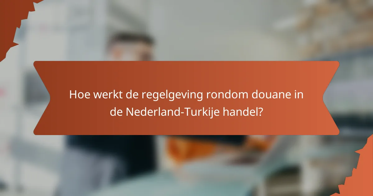 Hoe werkt de regelgeving rondom douane in de Nederland-Turkije handel?