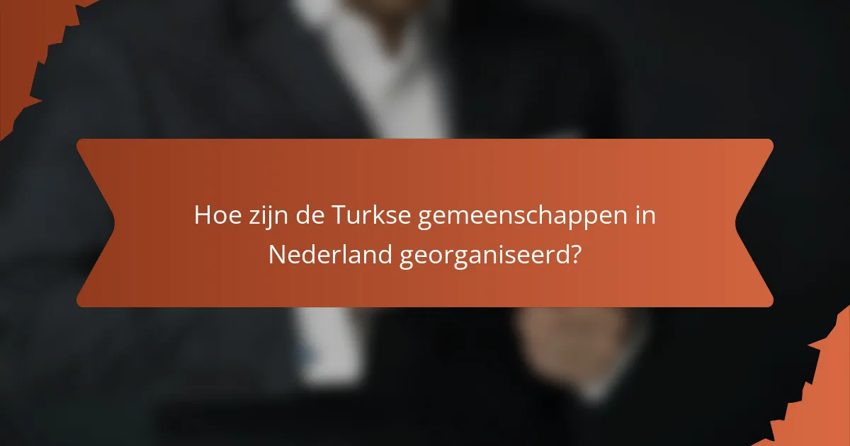 Hoe zijn de Turkse gemeenschappen in Nederland georganiseerd?