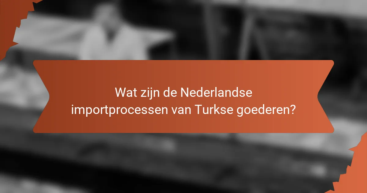 Wat zijn de Nederlandse importprocessen van Turkse goederen?