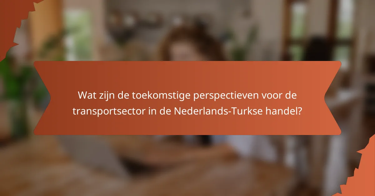 Wat zijn de toekomstige perspectieven voor de transportsector in de Nederlands-Turkse handel?