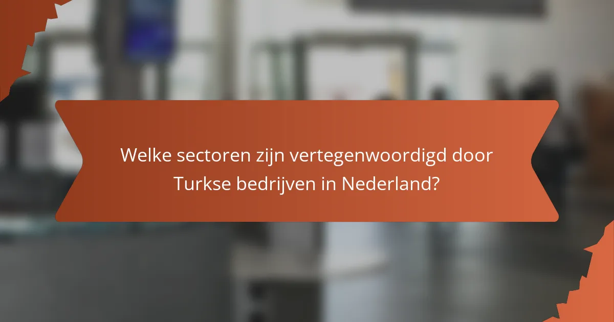 Welke sectoren zijn vertegenwoordigd door Turkse bedrijven in Nederland?