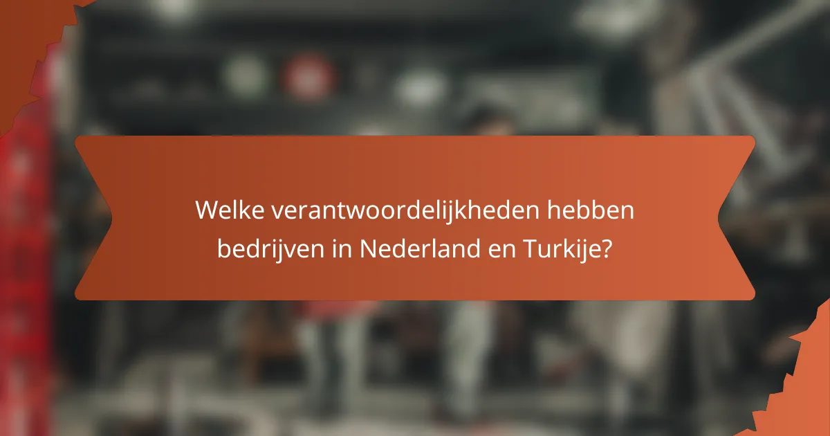 Welke verantwoordelijkheden hebben bedrijven in Nederland en Turkije?